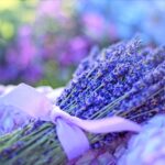 Olio essenziale di lavanda versato su un cuscino, simbolo di relax e benessere.